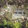 garden-boho-styed-shooting